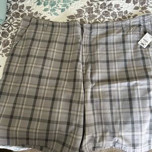 Men’s Steel Grey Big Dogs Shorts